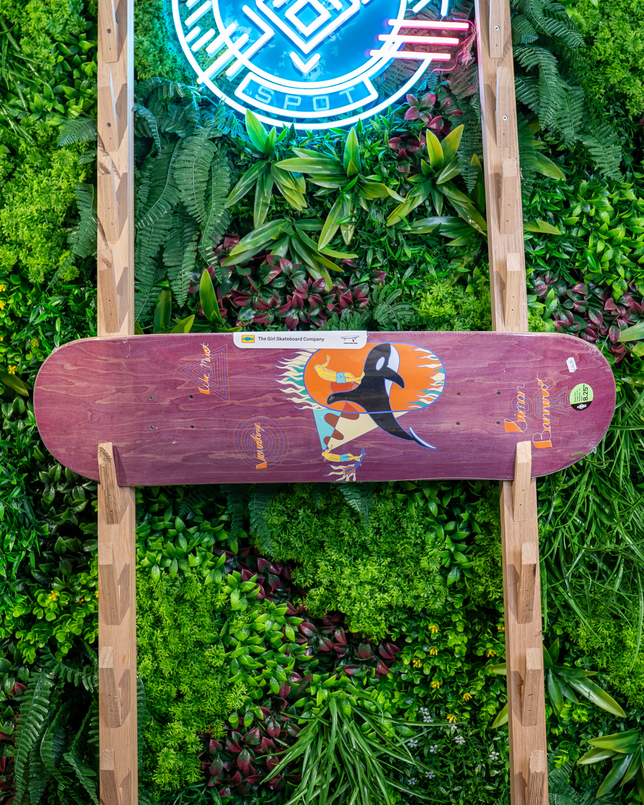 DECKGirl WR41 Bannerot Visualize Purple 8.25 X 31.75